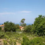 Irini Apartments And Studios
